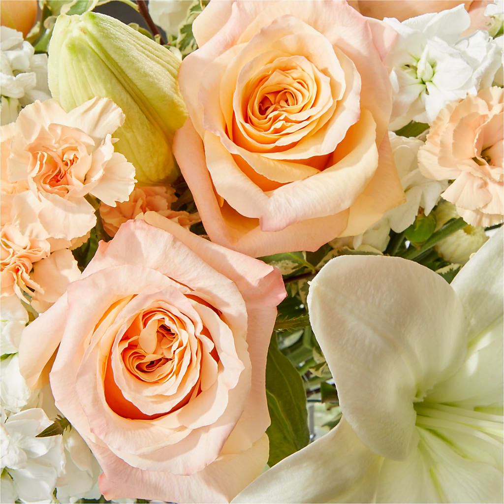 Darling Bouquet –  Fleuriste Rive Sud, Longueuil PQ