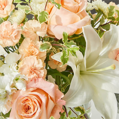 Darling Bouquet –  Fleuriste Rive Sud, Longueuil PQ