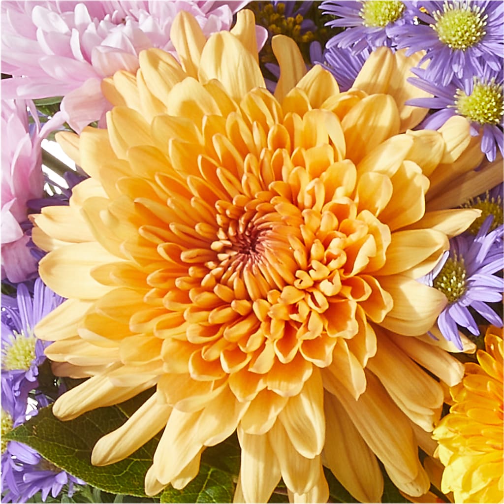 Countryside Bouquet –  Fleuriste Rive Sud, Longueuil PQ