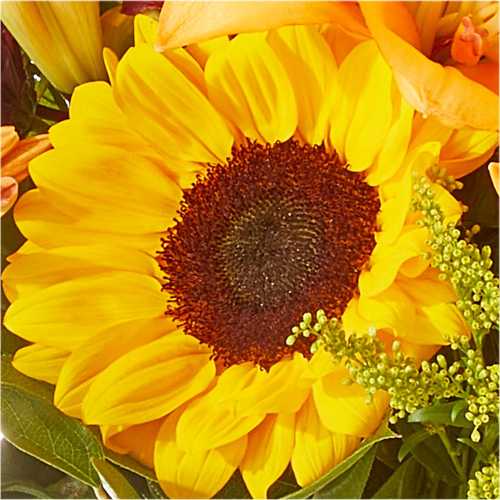 Seasons Change Bouquet –  Fleuriste Rive Sud, Longueuil PQ