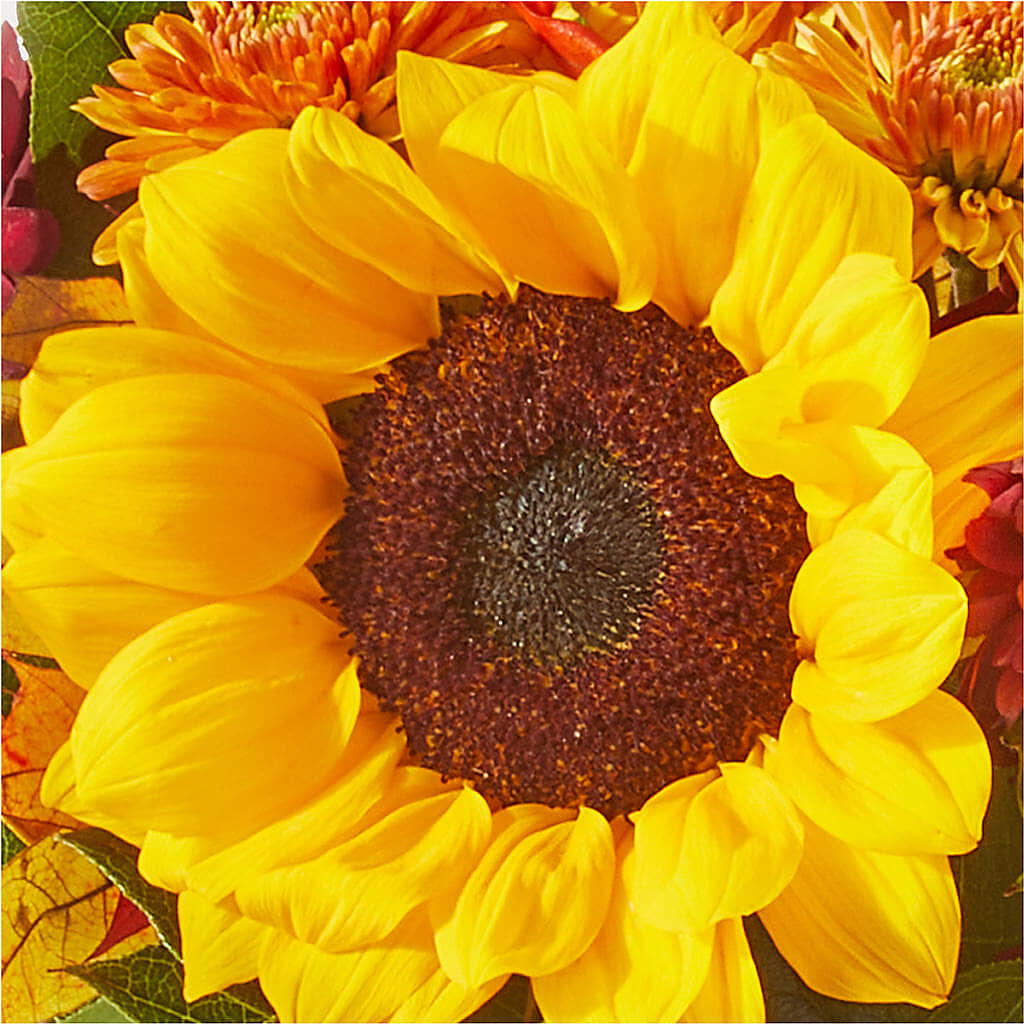 Sunny Side Bouquet –  Fleuriste Rive Sud, Longueuil PQ