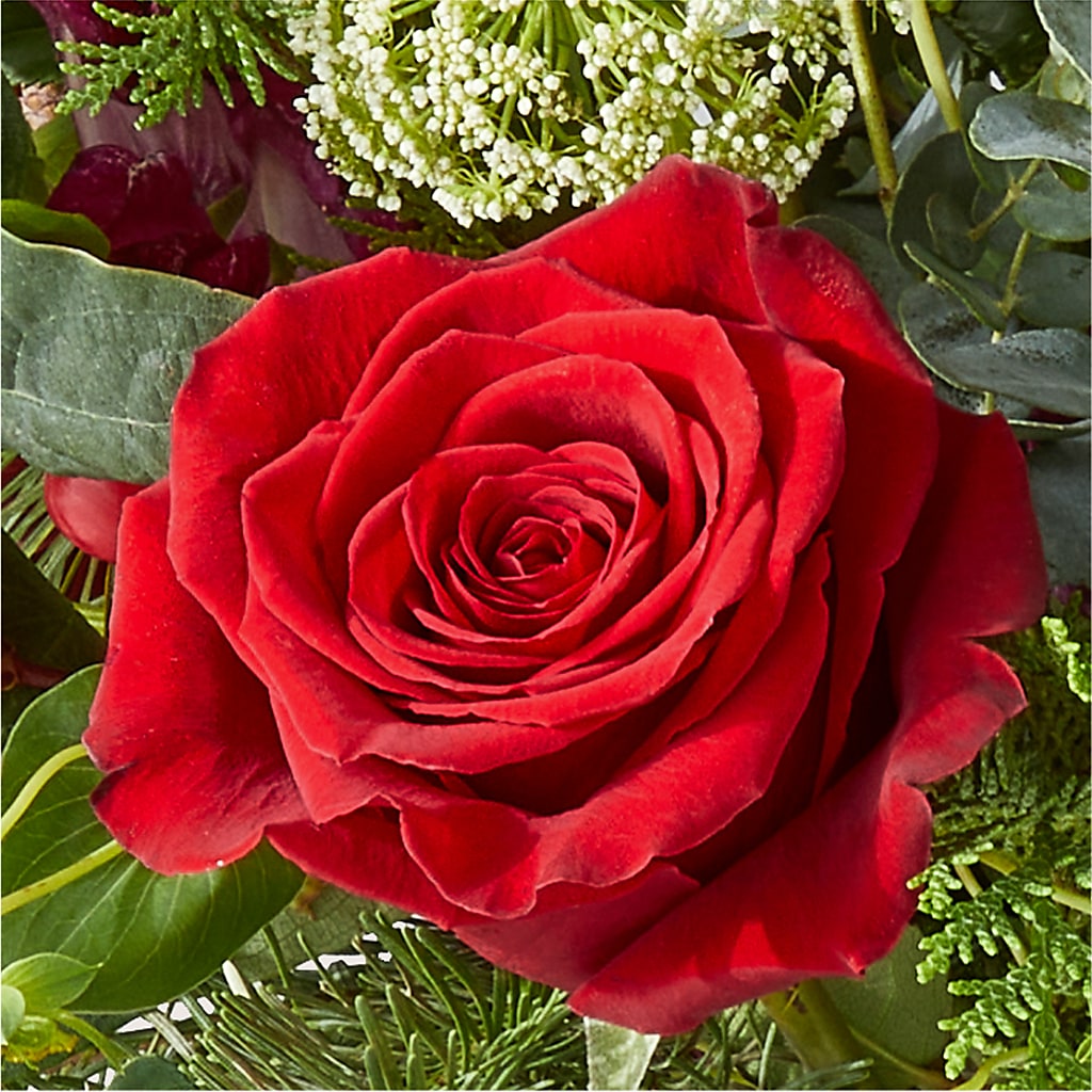 Cranberry Fizz Bouquet –  Fleuriste Rive Sud, Longueuil PQ