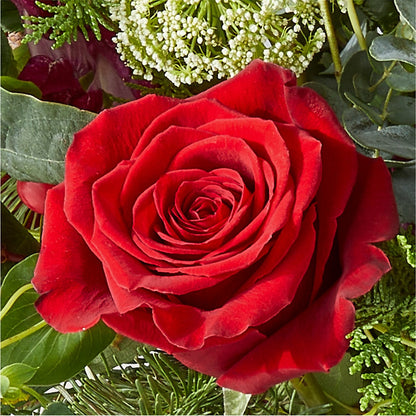 Cranberry Fizz Bouquet –  Fleuriste Rive Sud, Longueuil PQ