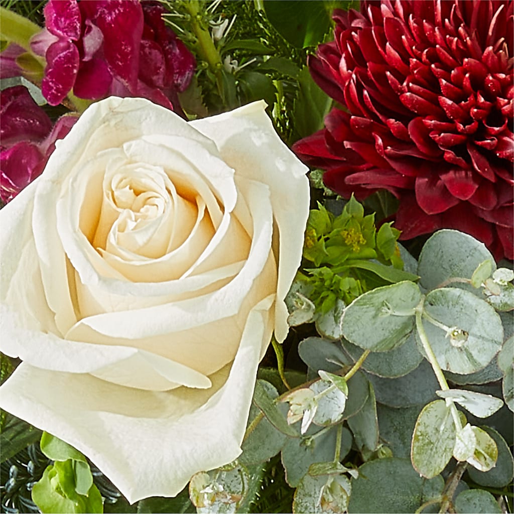 Cranberry Fizz Bouquet –  Fleuriste Rive Sud, Longueuil PQ
