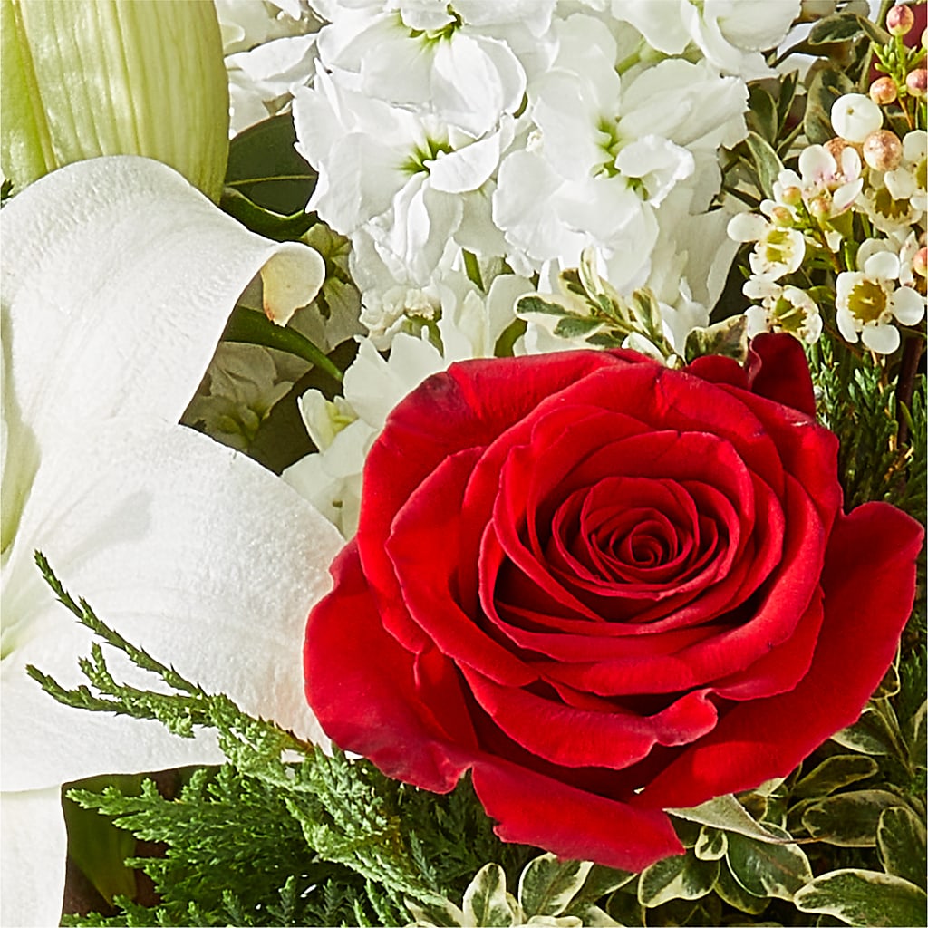Twinkle Lights Bouquet –  Fleuriste Rive Sud, Longueuil PQ