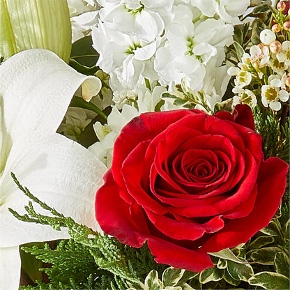 Twinkle Lights Bouquet –  Fleuriste Rive Sud, Longueuil PQ
