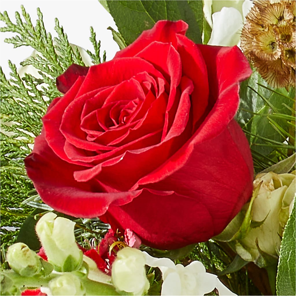 Deck the Halls Bouquet –  Fleuriste Rive Sud, Longueuil PQ