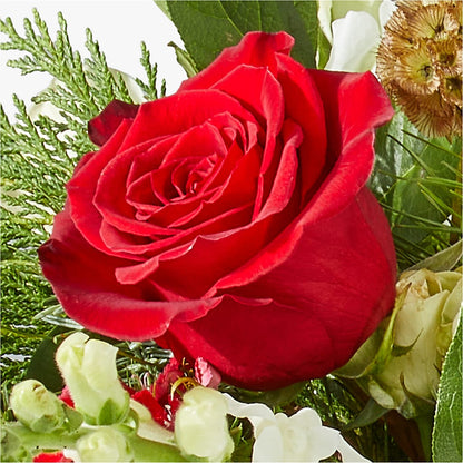 Deck the Halls Bouquet –  Fleuriste Rive Sud, Longueuil PQ