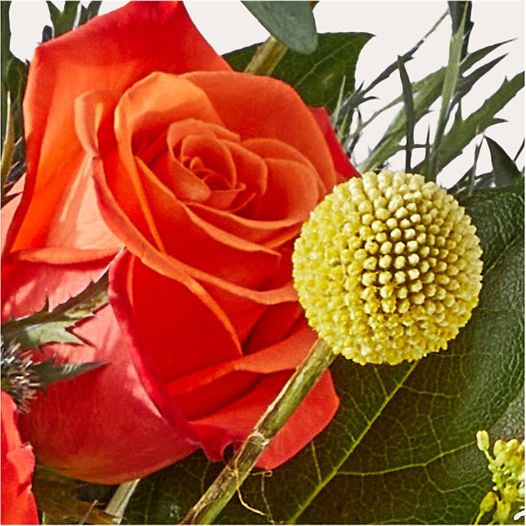 Disco Bouquet –  Fleuriste Rive Sud, Longueuil PQ