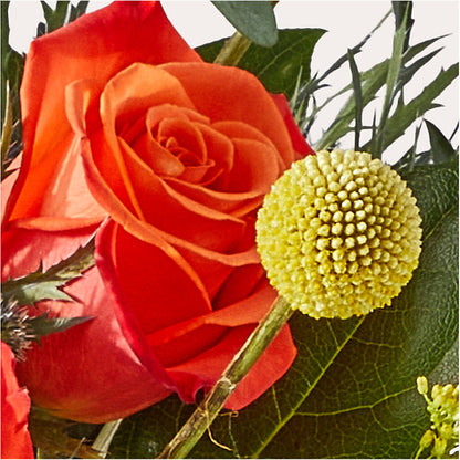 Disco Bouquet –  Fleuriste Rive Sud, Longueuil PQ