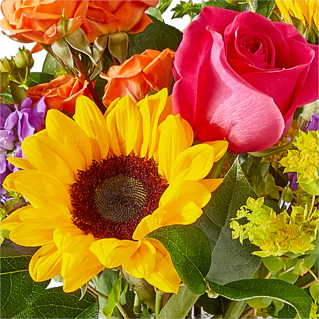 Vibrant Greetings Bouquet –  Fleuriste Rive Sud, Longueuil PQ