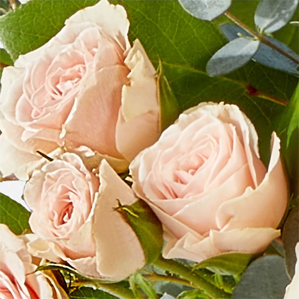 Inspired Bouquet –  Fleuriste Rive Sud, Longueuil PQ