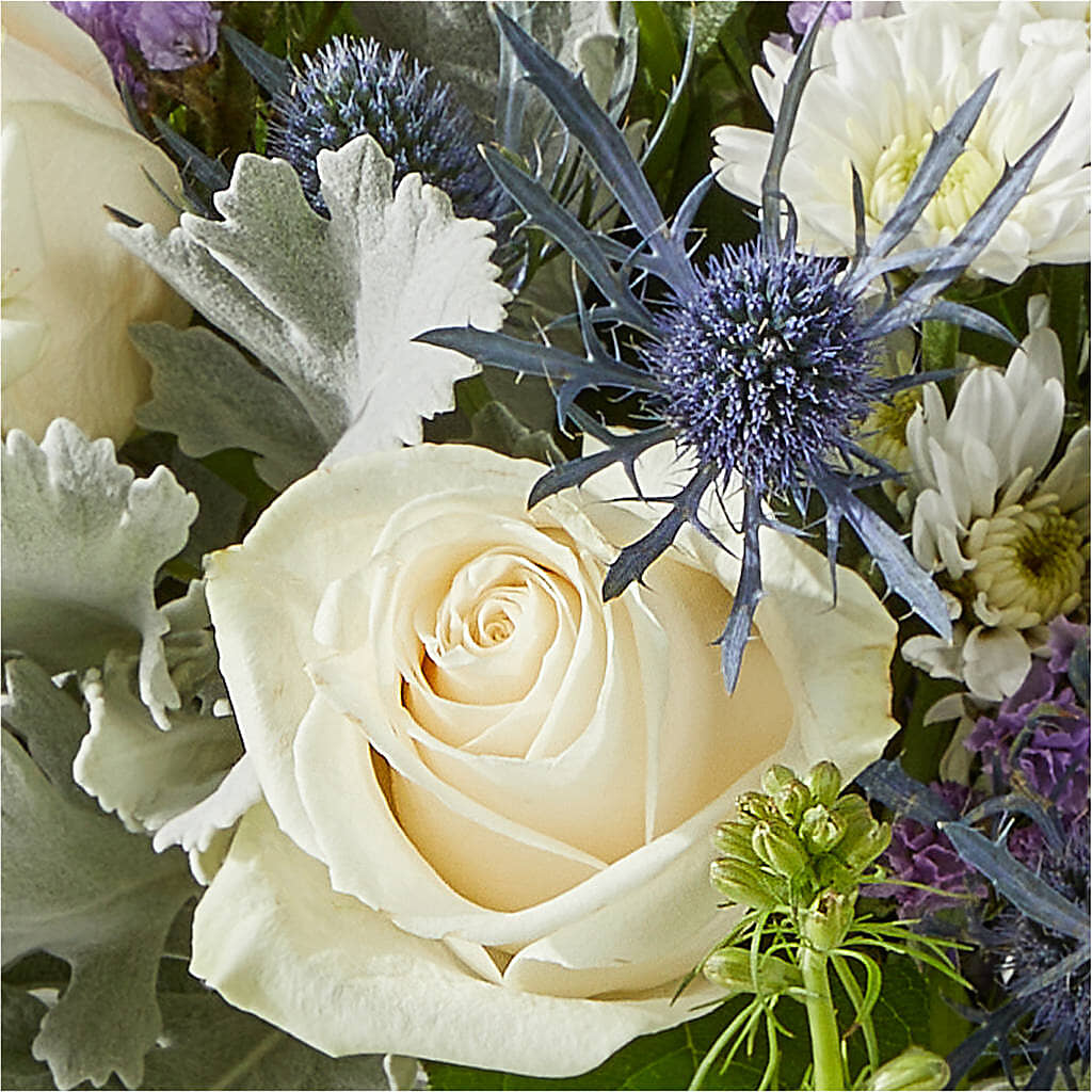 Shooting Star Bouquet –  Fleuriste Rive Sud, Longueuil PQ