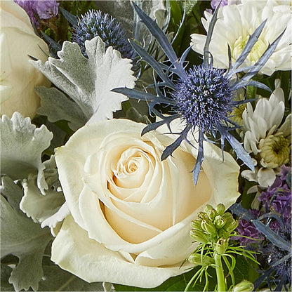 Shooting Star Bouquet –  Fleuriste Rive Sud, Longueuil PQ