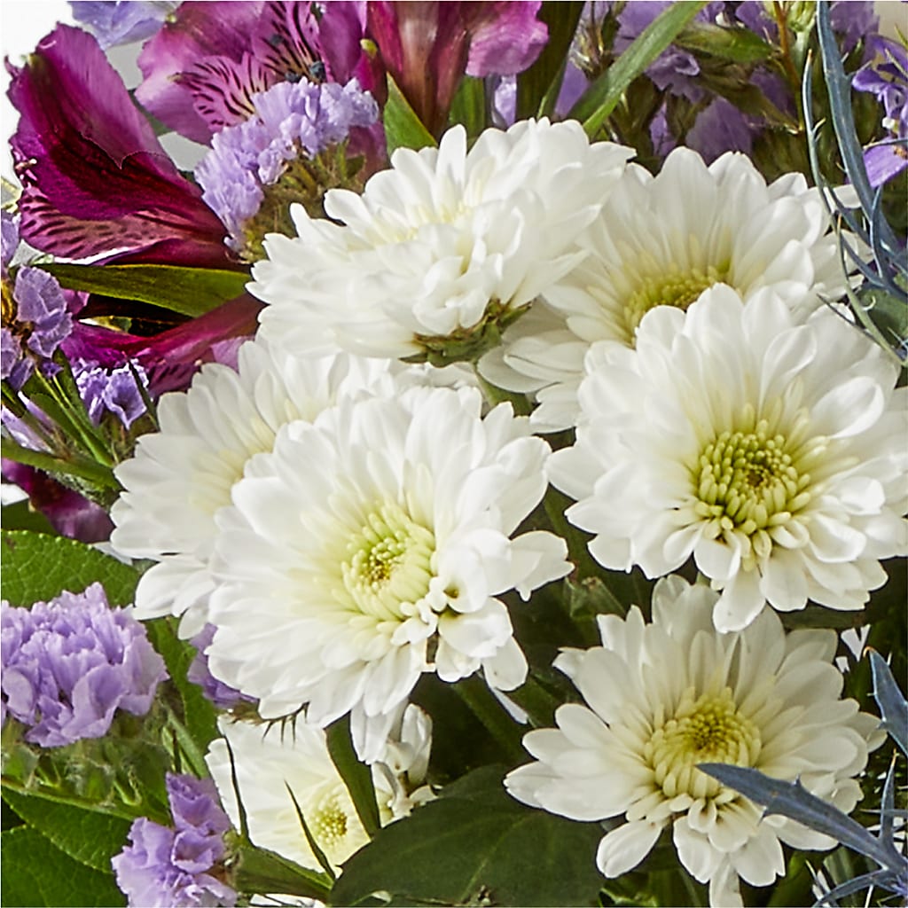 Shooting Star Bouquet –  Fleuriste Rive Sud, Longueuil PQ
