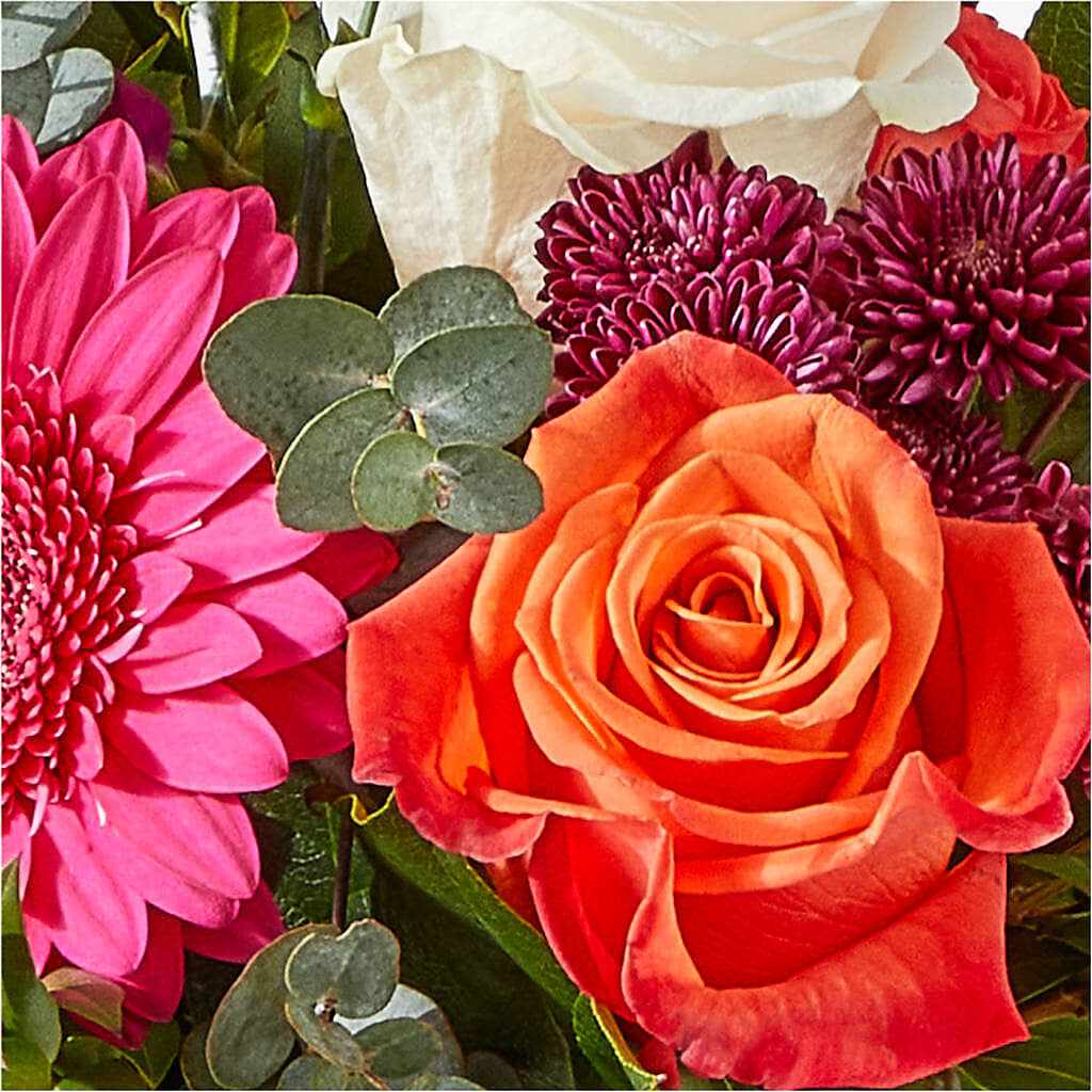 Smell the Roses Bouquet –  Fleuriste Rive Sud, Longueuil PQ