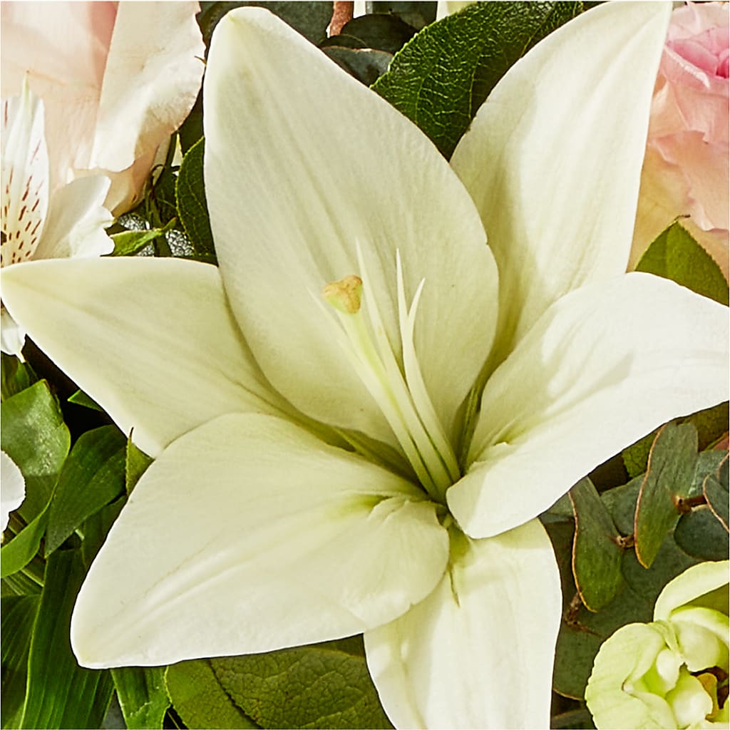 Ballet Slippers Bouquet –  Fleuriste Rive Sud, Longueuil PQ