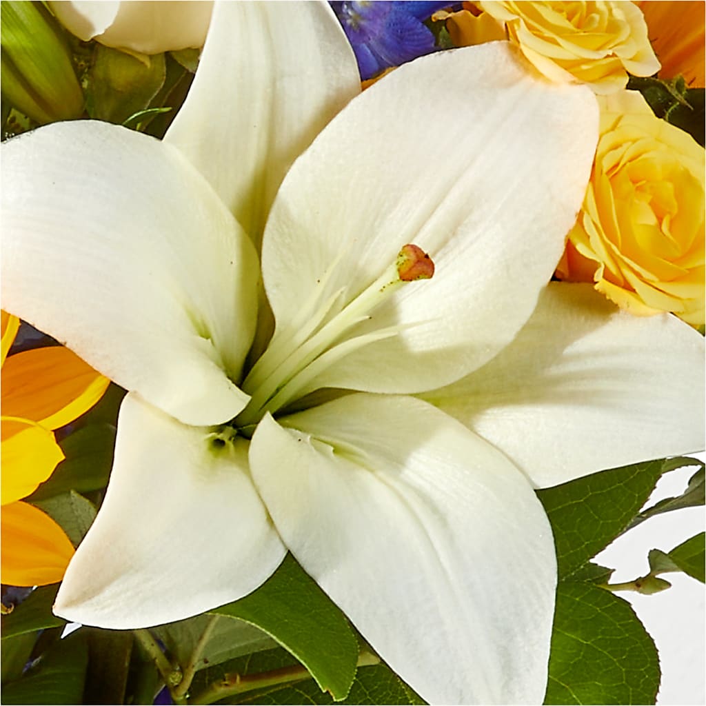 Wonderfully Sunny Bouquet –  Fleuriste Rive Sud, Longueuil PQ