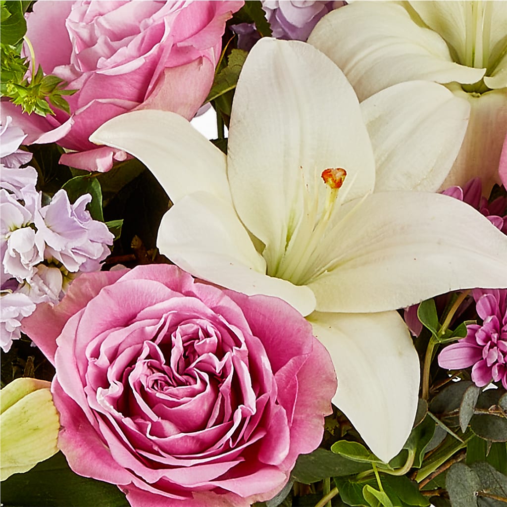 Daydreamer Bouquet –  Fleuriste Rive Sud, Longueuil PQ