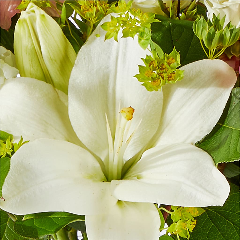 Fondly Bouquet –  Fleuriste Rive Sud, Longueuil PQ