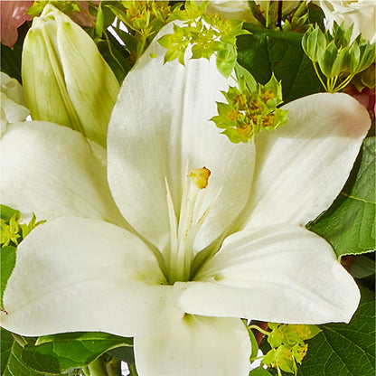 Fondly Bouquet –  Fleuriste Rive Sud, Longueuil PQ