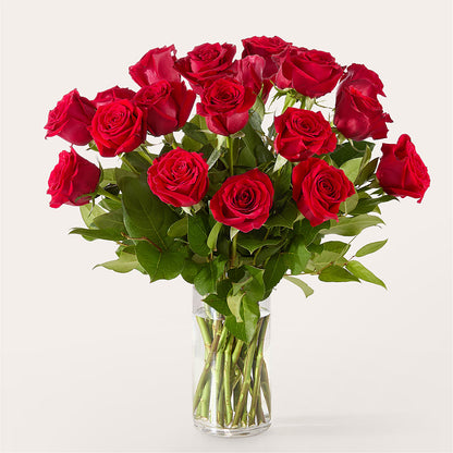 The One Red Rose Bouquet –  Fleuriste Rive Sud, Longueuil PQ