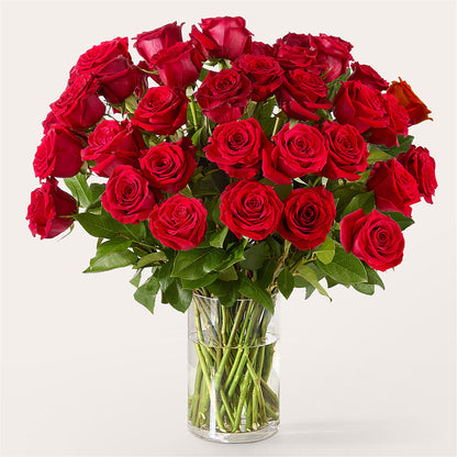 The One Red Rose Bouquet –  Fleuriste Rive Sud, Longueuil PQ