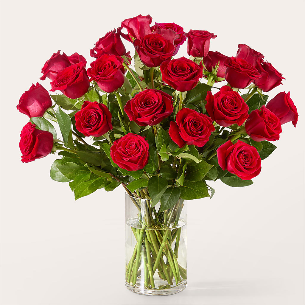 The One Red Rose Bouquet –  Fleuriste Rive Sud, Longueuil PQ