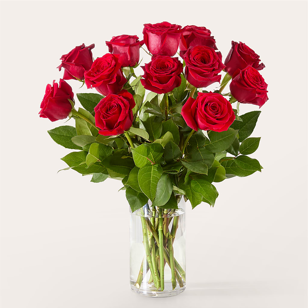 The One Red Rose Bouquet –  Fleuriste Rive Sud, Longueuil PQ