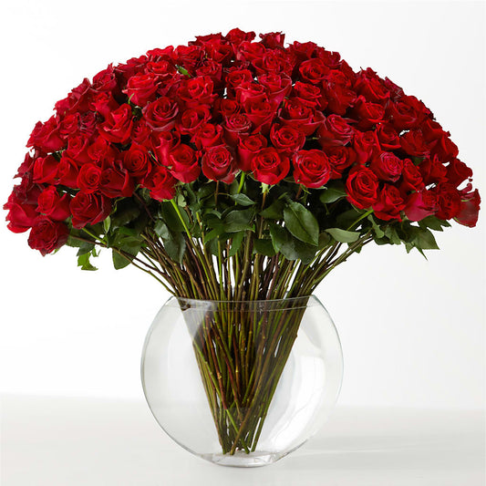 The Idealist –  Fleuriste Rive Sud, Longueuil PQ