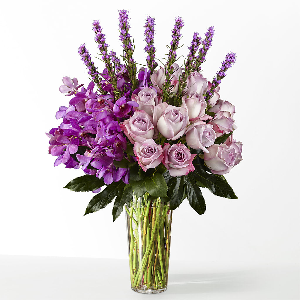 The Maximalist –  Fleuriste Rive Sud, Longueuil PQ
