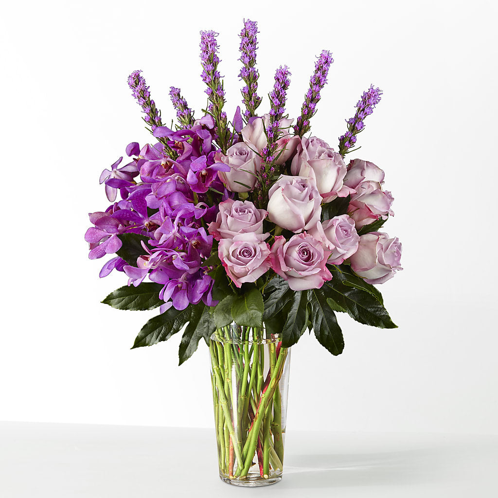 The Maximalist –  Fleuriste Rive Sud, Longueuil PQ