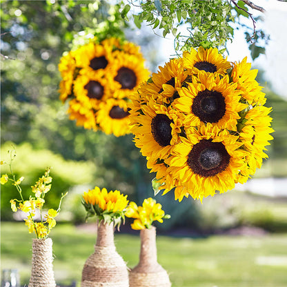 Sublime Garden Hanging Arrangement –  Fleuriste Rive Sud, Longueuil PQ