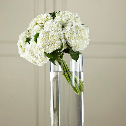 White Hydrangea Hand-Tied Bouquet –  Fleuriste Rive Sud, Longueuil PQ