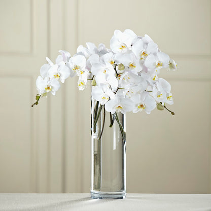White Phalaenopsis Bouquet –  Fleuriste Rive Sud, Longueuil PQ