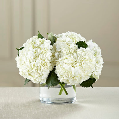 White Hydrangea Bouquet –  Fleuriste Rive Sud, Longueuil PQ